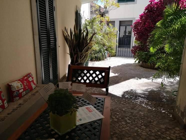 Villa Pitta Vila Baleira  Exterior photo